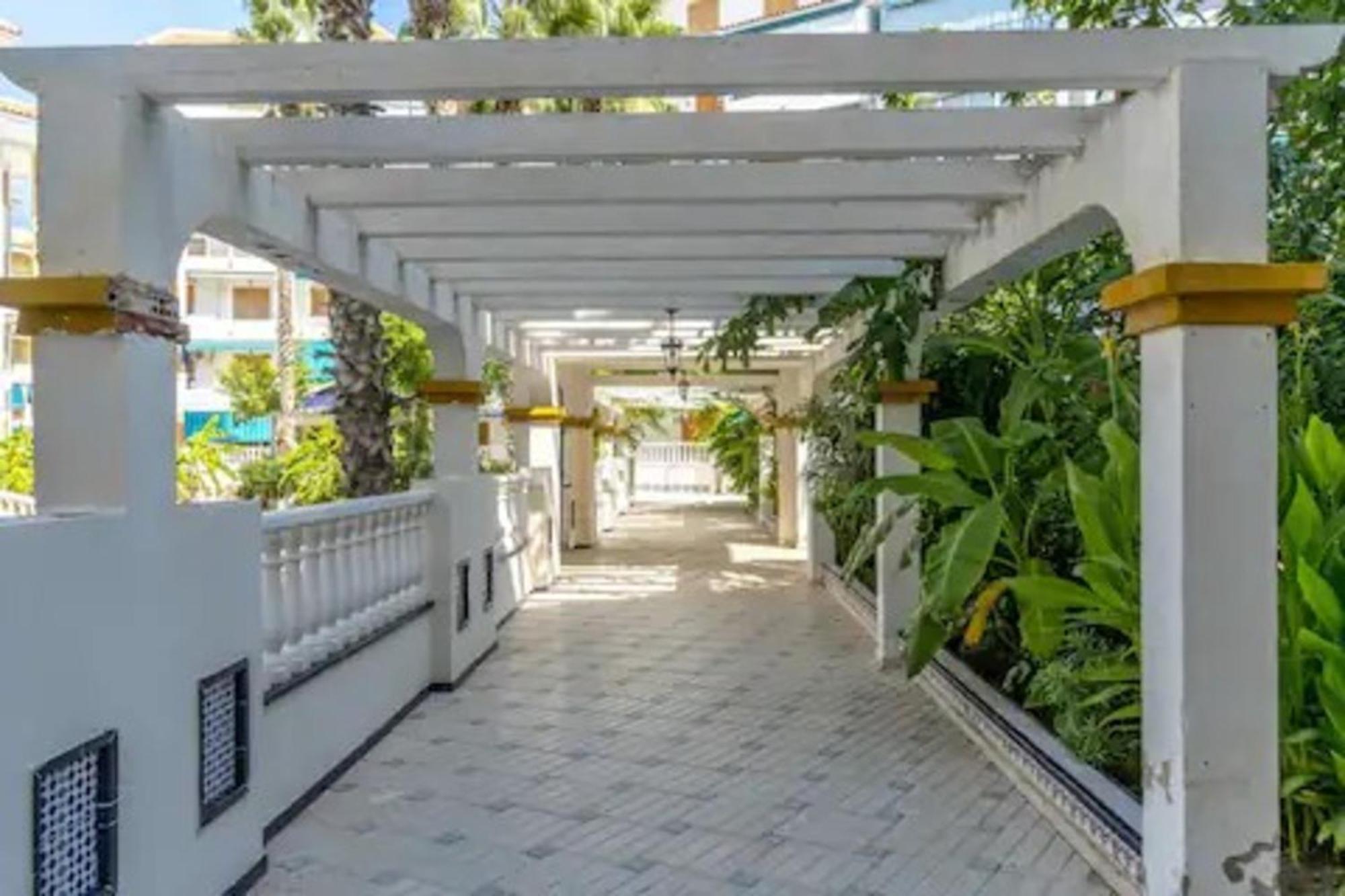 Pmt17 - Penthouse Apartment With Pool And Close To Beach La Mata  Extérieur photo